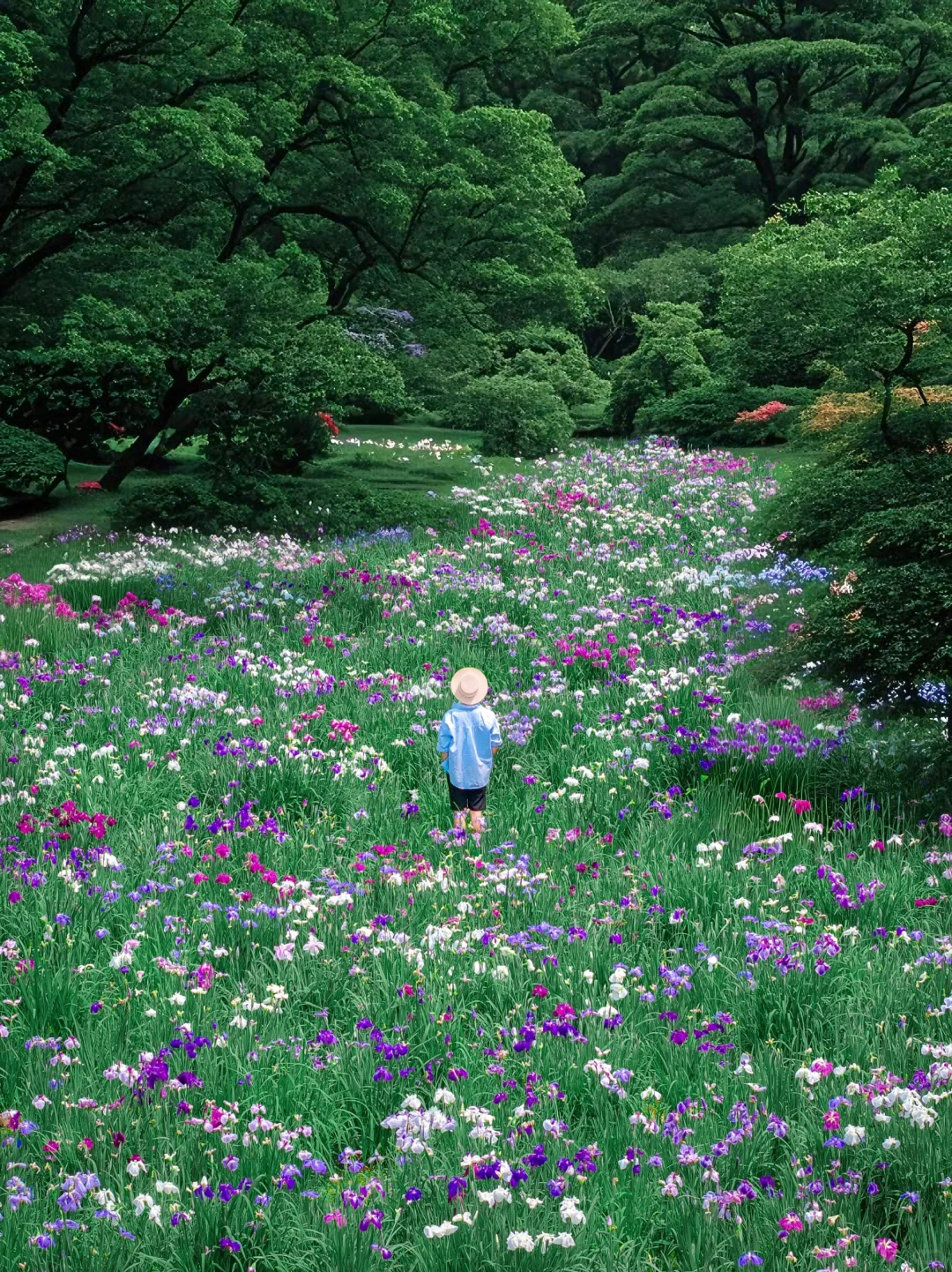 以为苏州很美了！直到我看到这个水上园林🏯