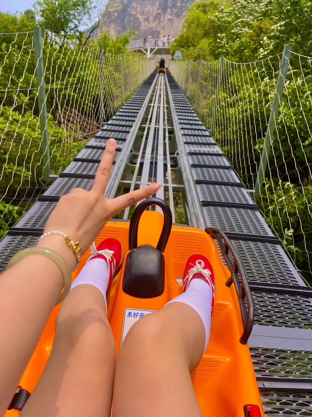 童话里的绿野仙踪丨云台山最全攻略🌲🌞