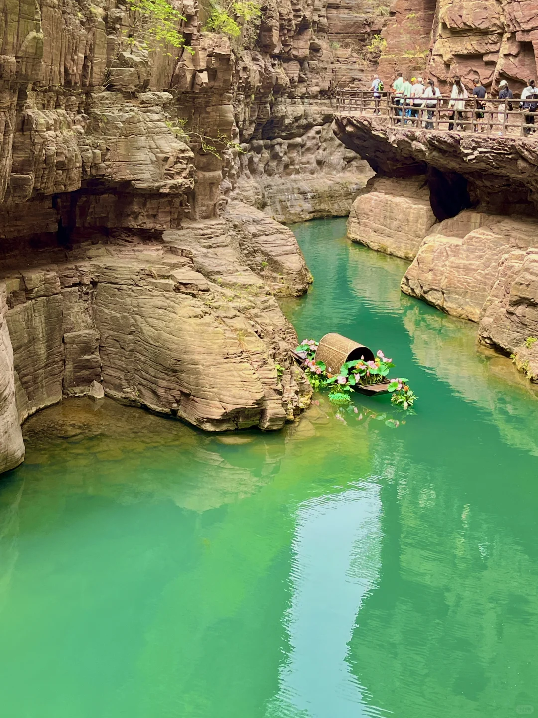 童话里的绿野仙踪丨云台山最全攻略🌲🌞