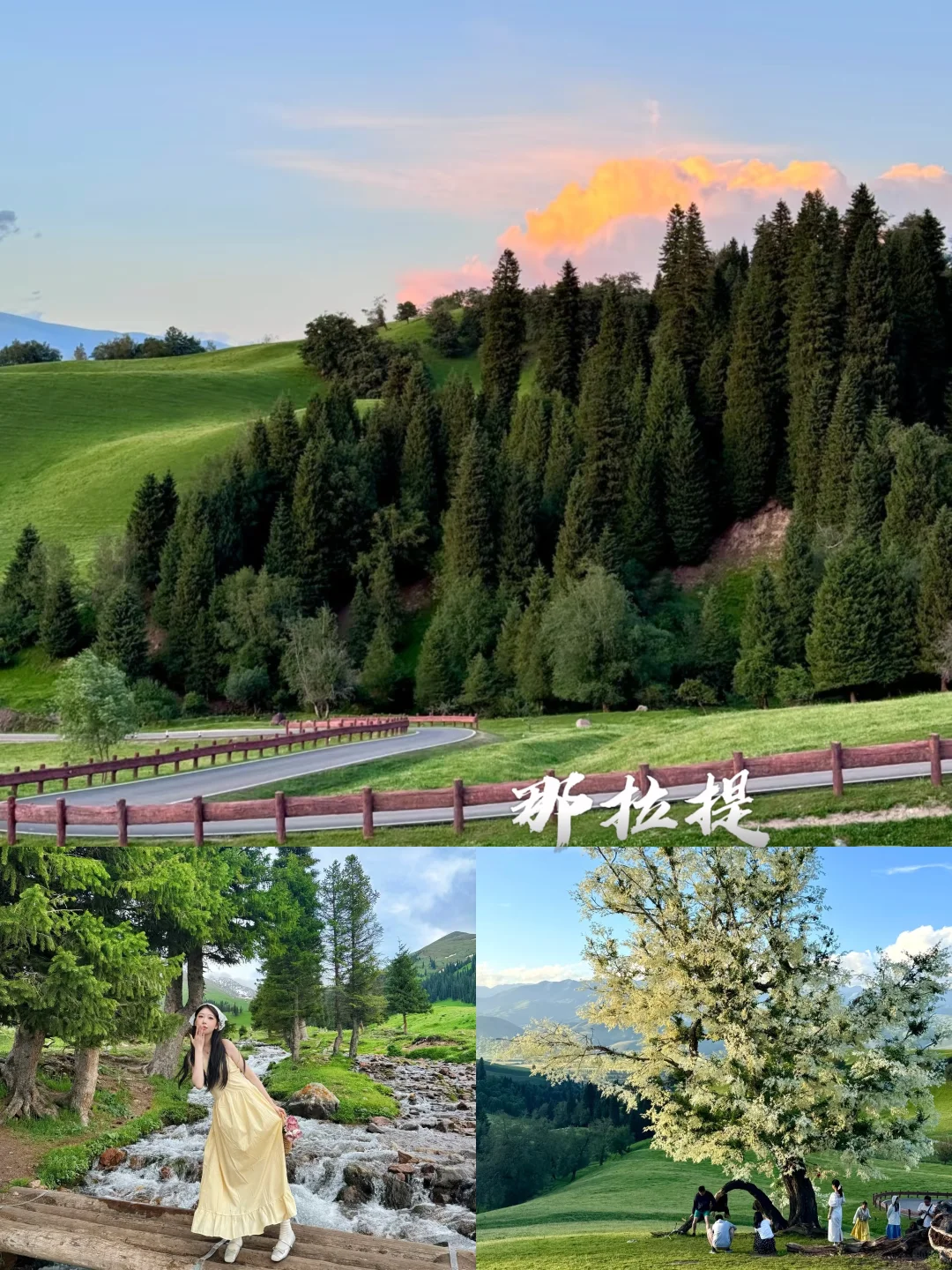 6-8月新疆必游景点 | 梦中的自由地