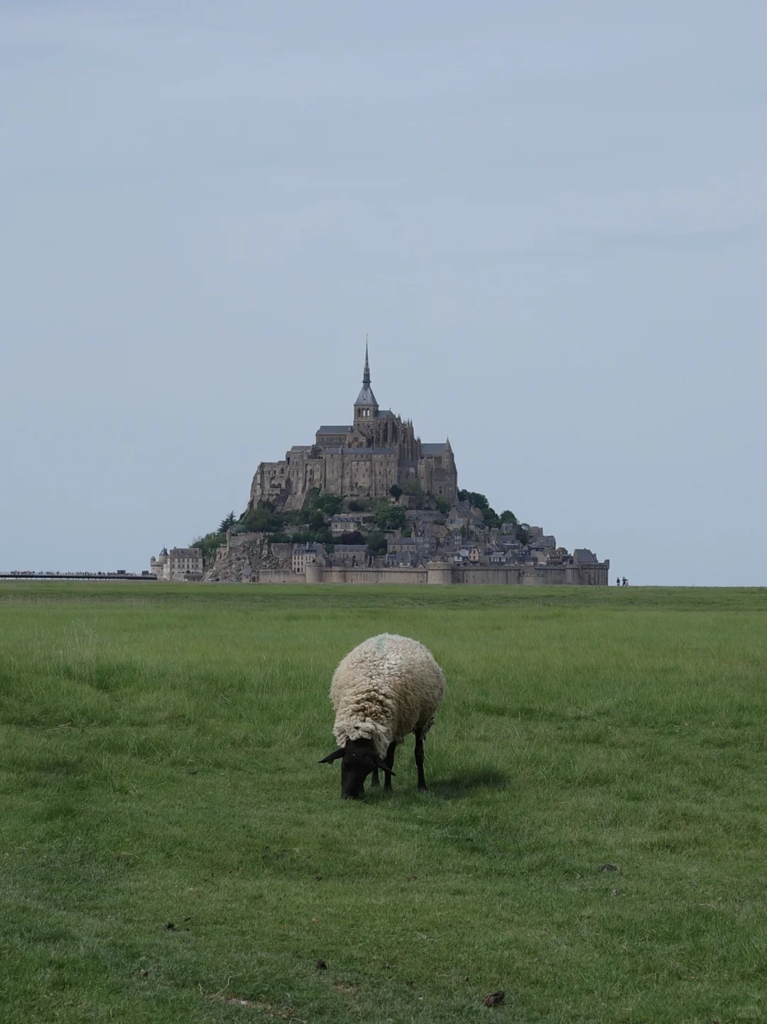 杰伦你是不是p图了？