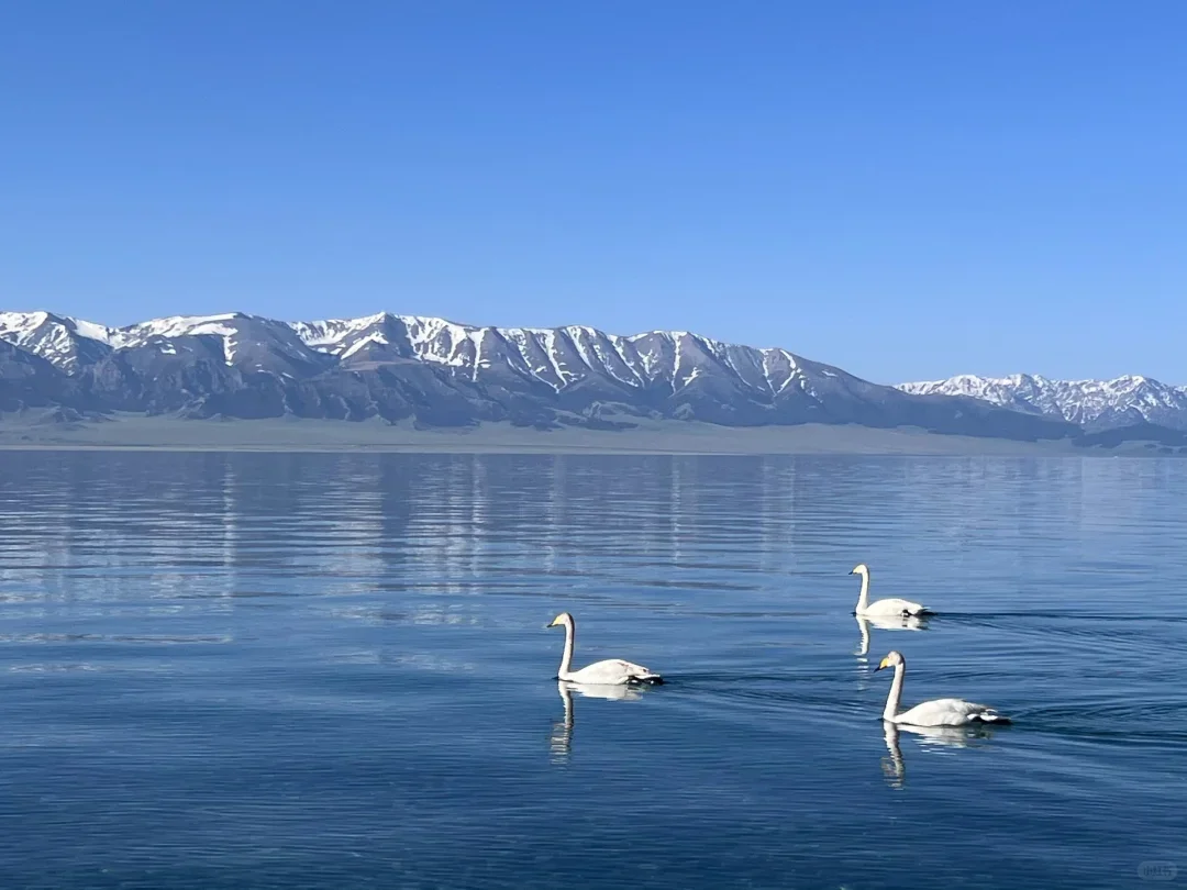 神级景点！真的每一帧都是壁纸！