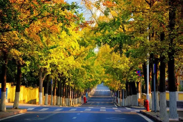 天津周边的旅游好去处