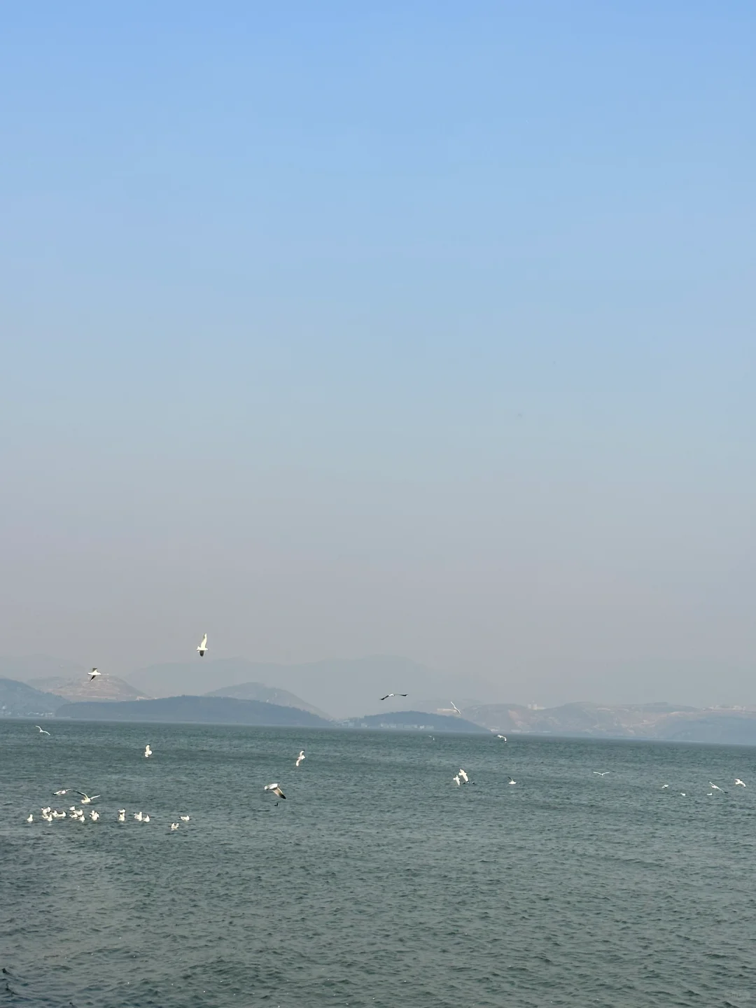 云南丽江 大理去了，那边拍照很吃天气‼️