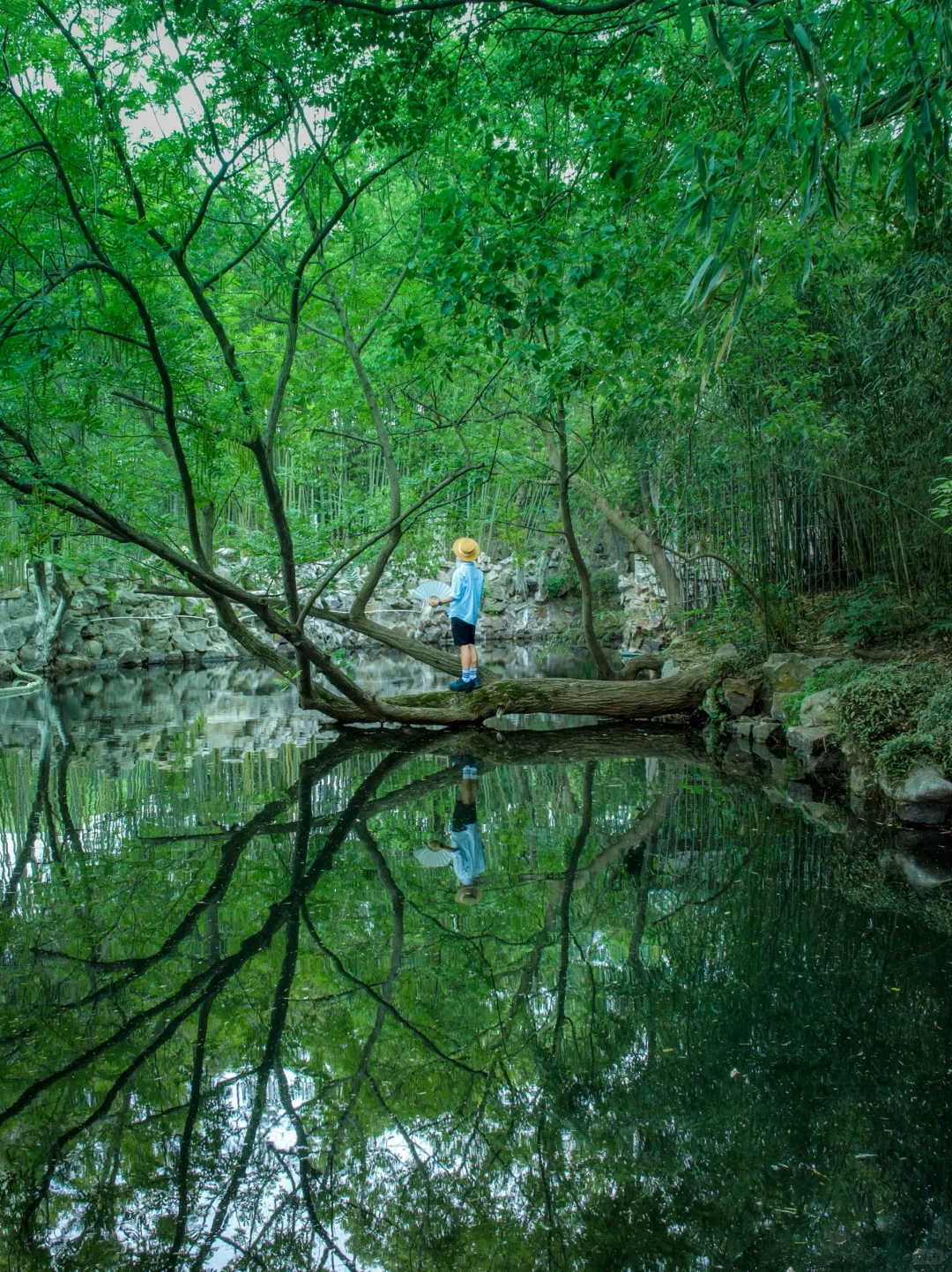 以为苏州很美了！直到我看到这个水上园林🏯