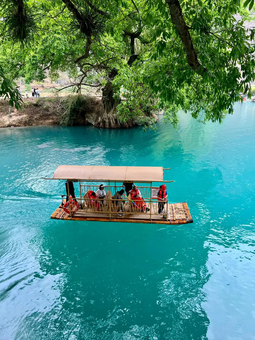 人生建议：带孩子来贵州，一定要暑假去！