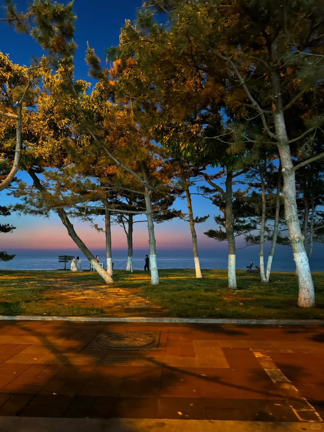 傍晚的威海！！就是一个巨大的lalaland。。。