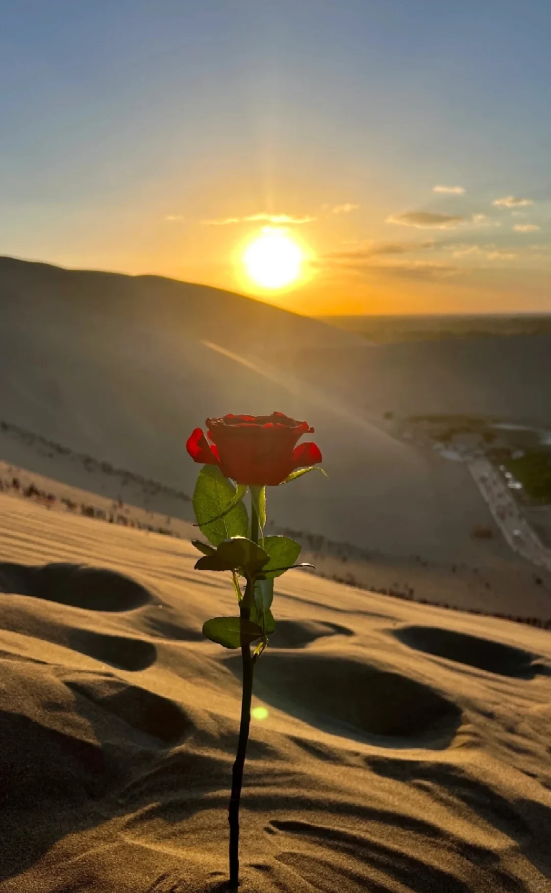 敦煌旅游|一生必去一次的文化盛宴