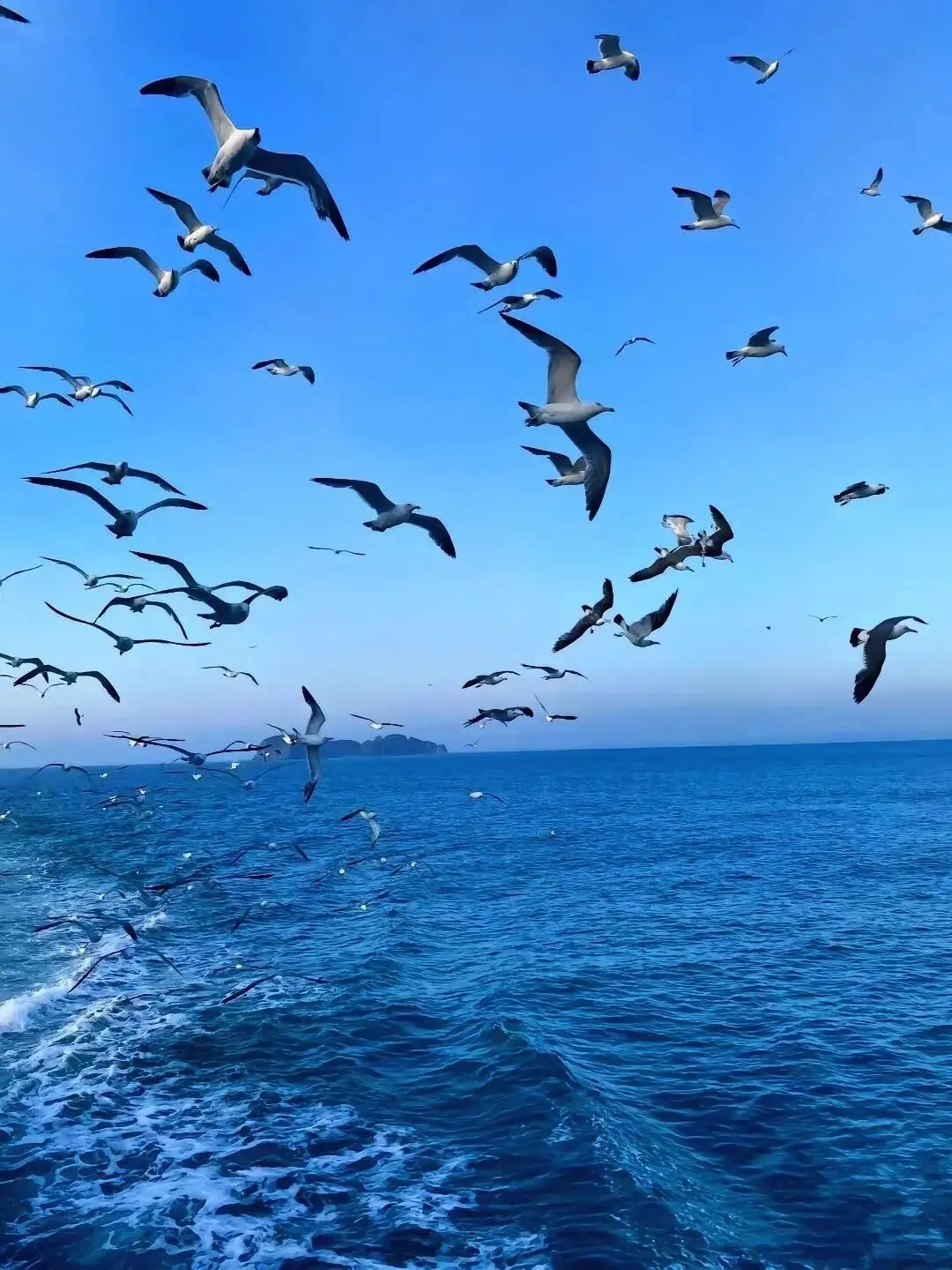 你失约的威海蓝，我替你去看了真的很美🌊