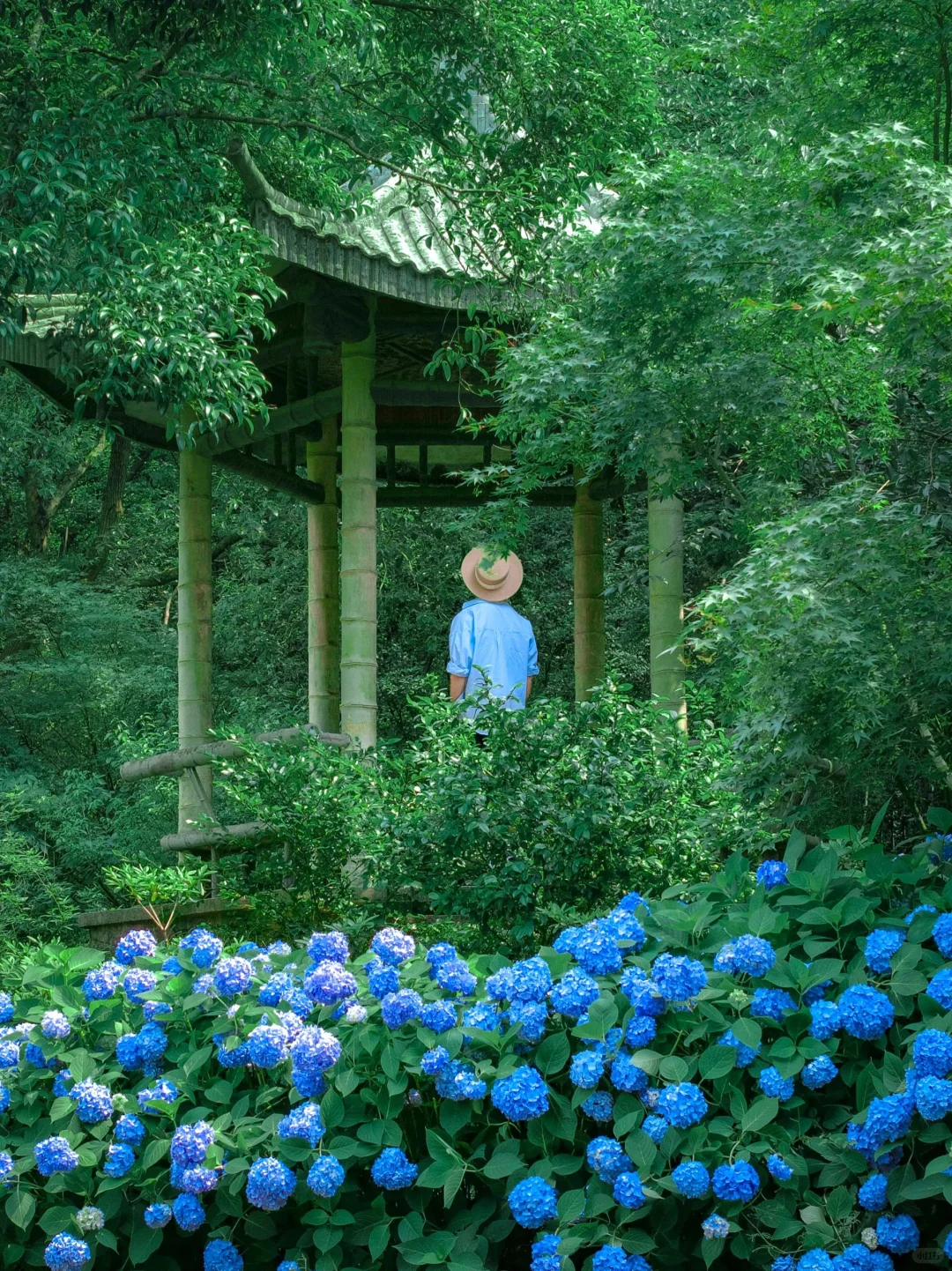 以为苏州很美了！直到我看到这个水上园林🏯