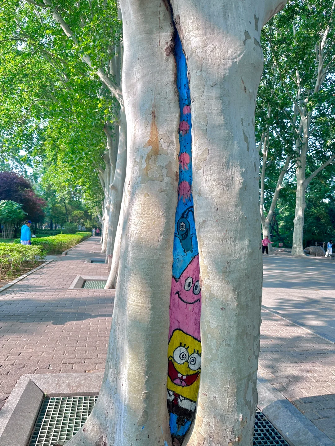 邯郸有点东西❗公园大树开瀑布