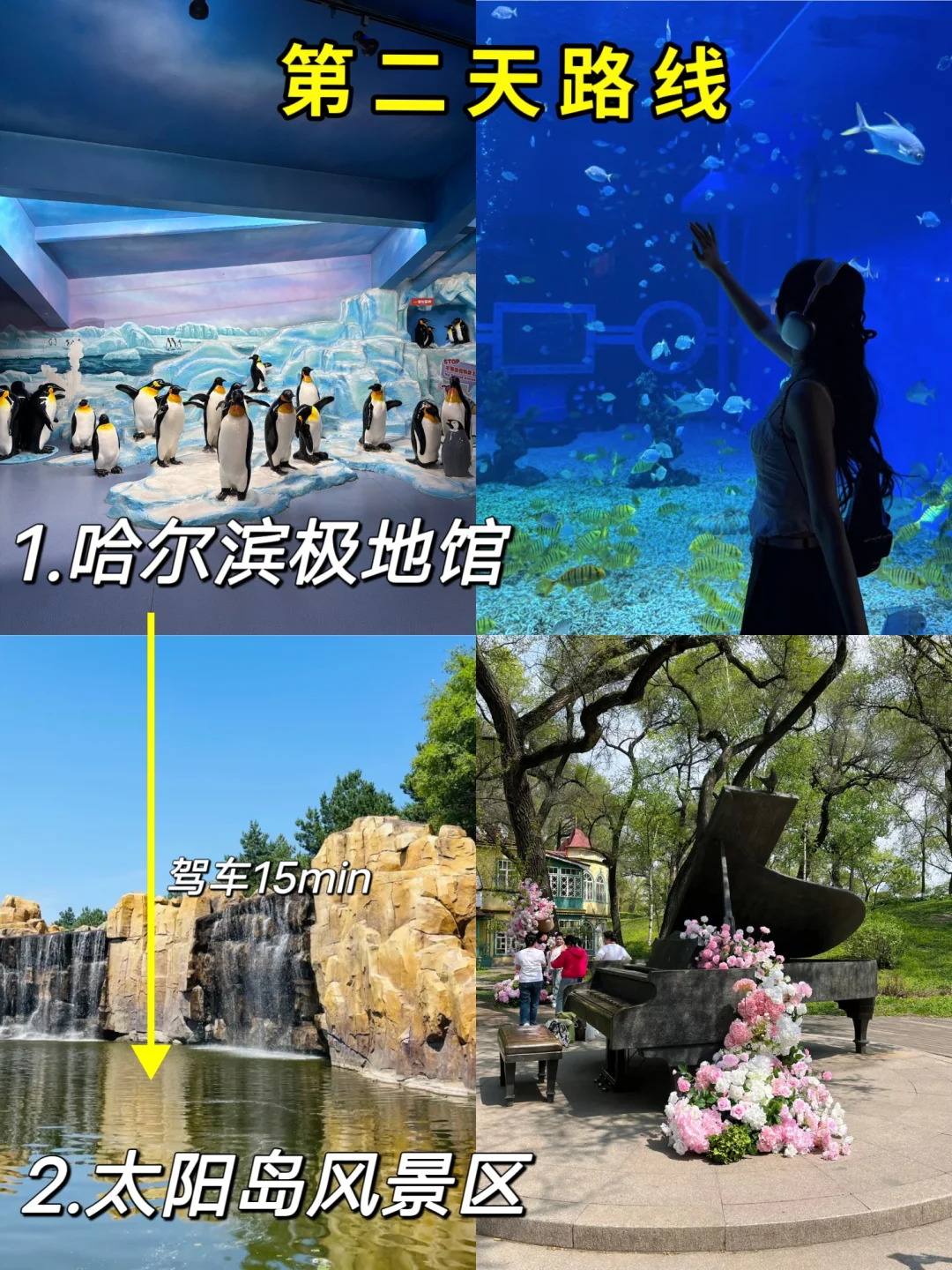 大学生端午节📍哈尔滨3️⃣日游详细路线