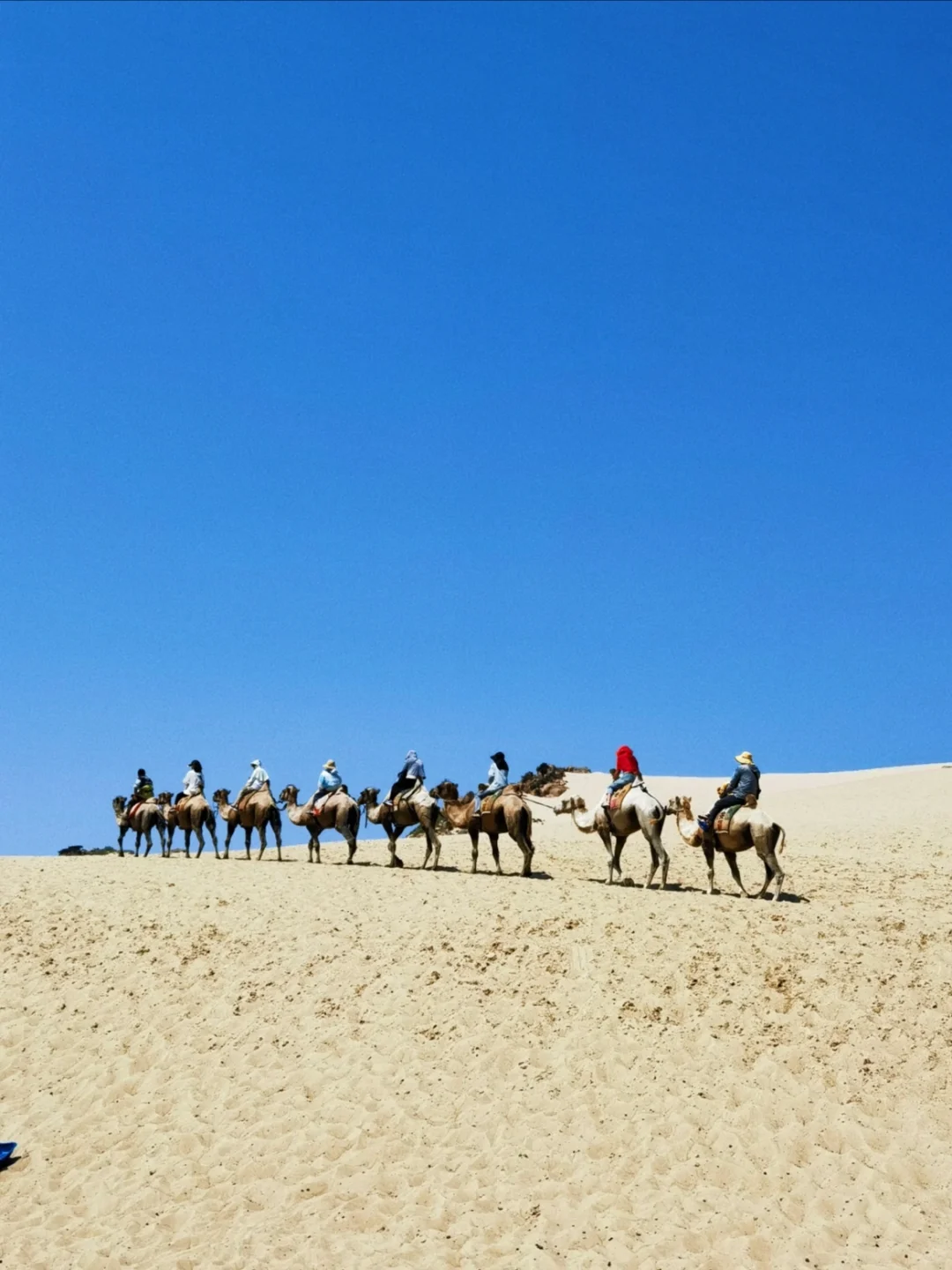 端午节乌兰布统草原可冲，附相关提醒