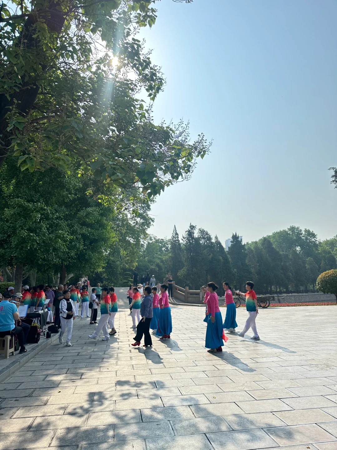 邯郸有点东西❗公园大树开瀑布