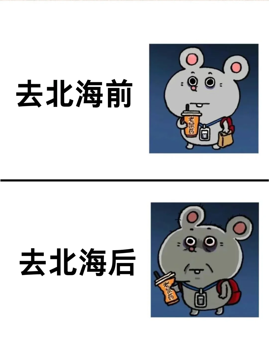 为什么我去北海旅游前没刷到这篇🥹