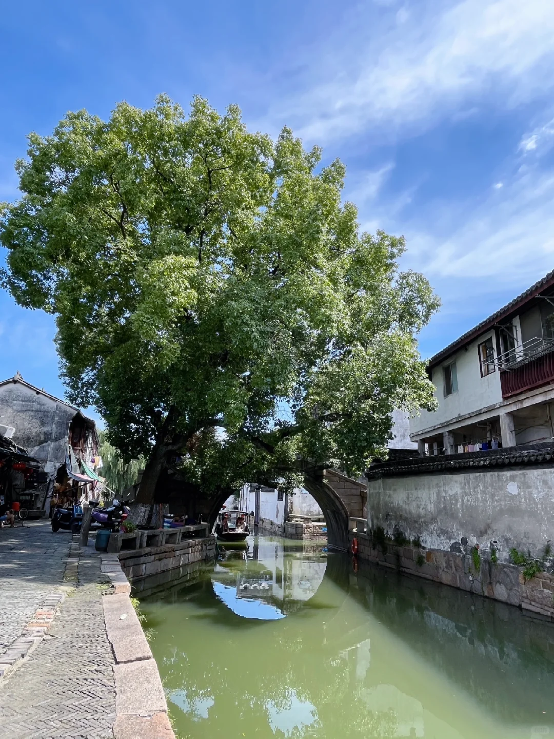 暑假来苏州想避开人群，来这个古镇就对啦～