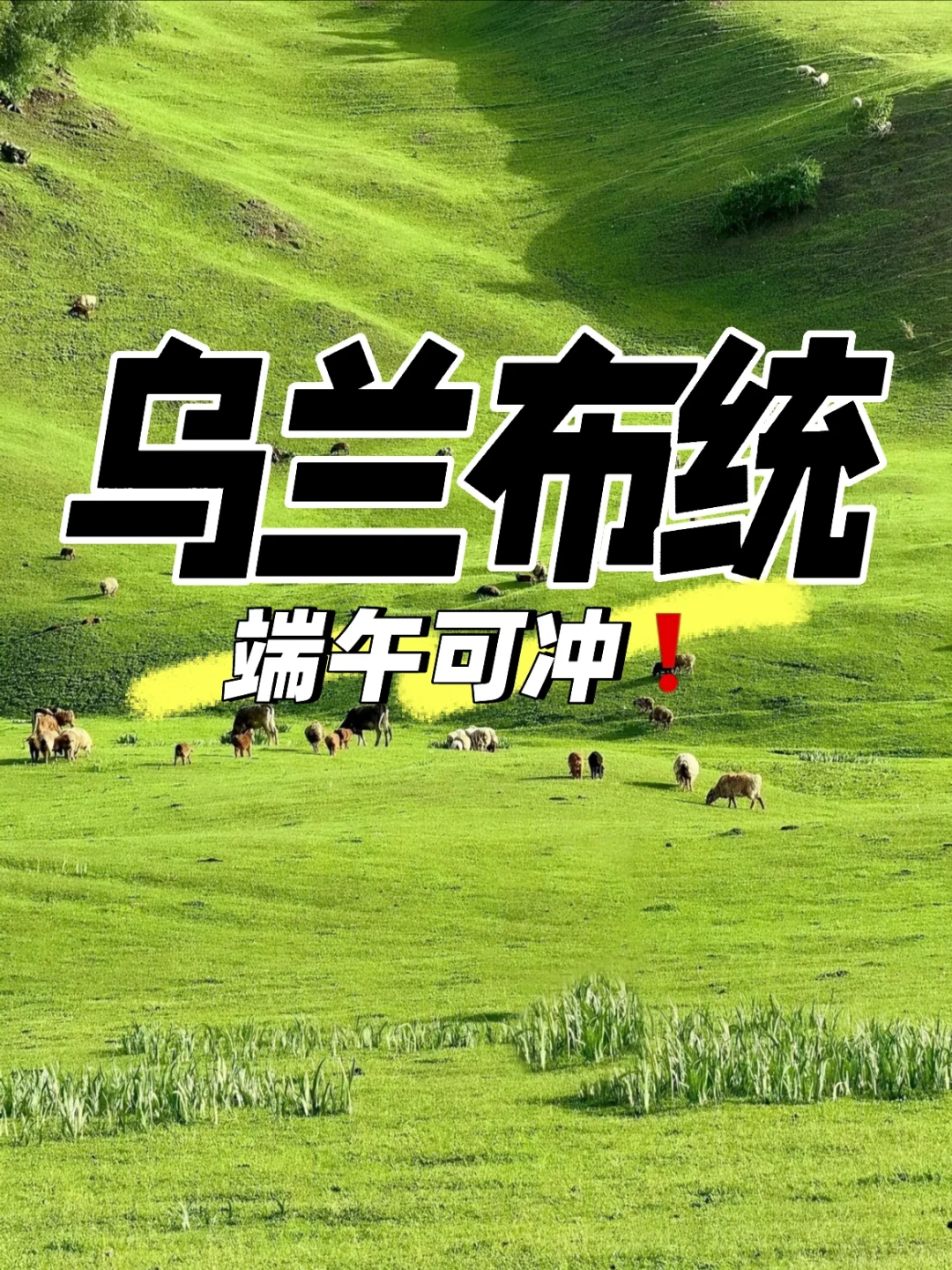 端午节乌兰布统草原可冲，附相关提醒