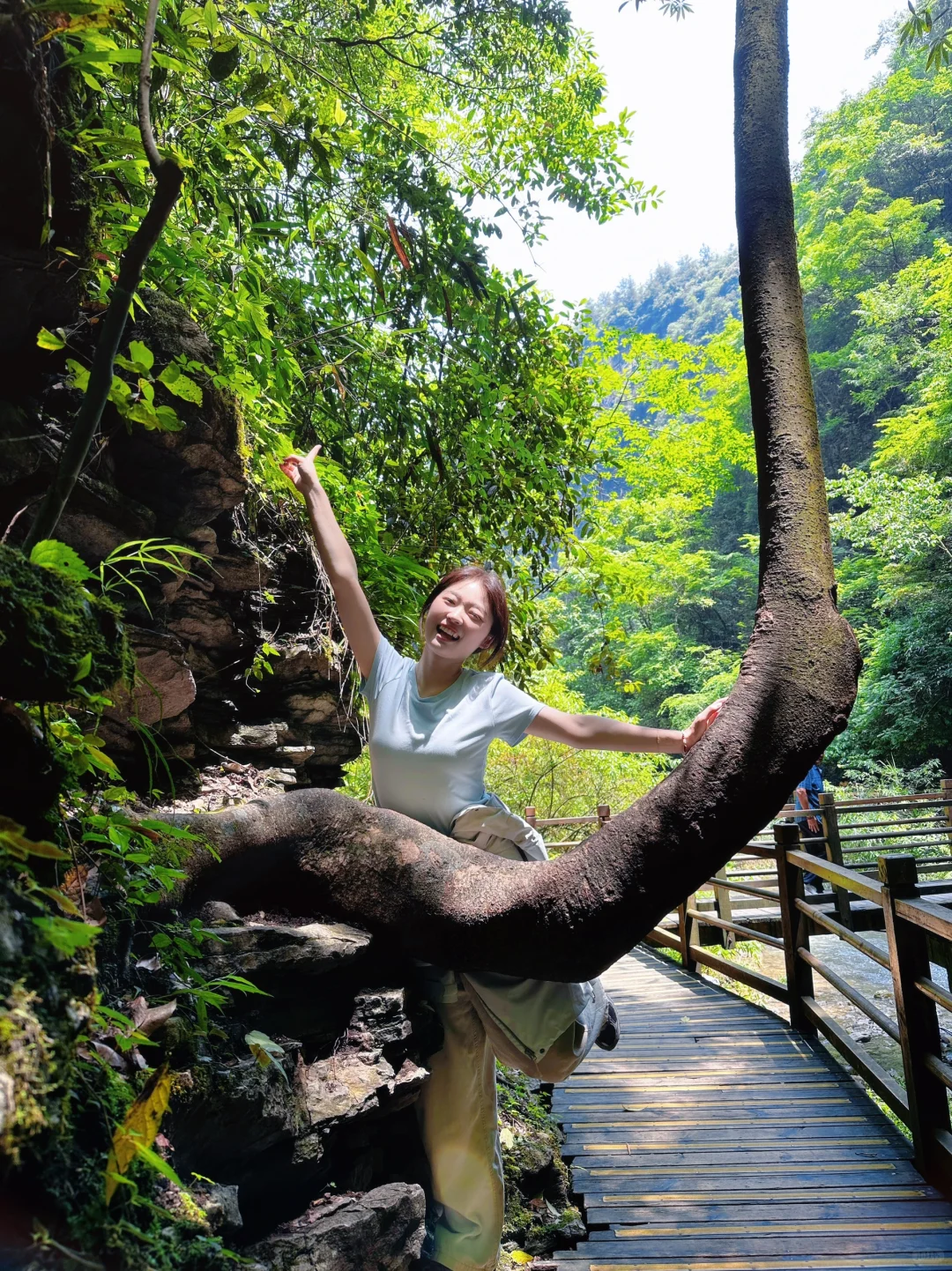 如果非要让我在天门山和大峡谷二选一…