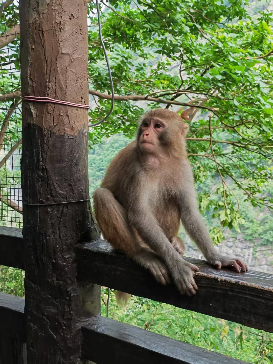 重庆的地下溶洞，居然比山顶还美‼️