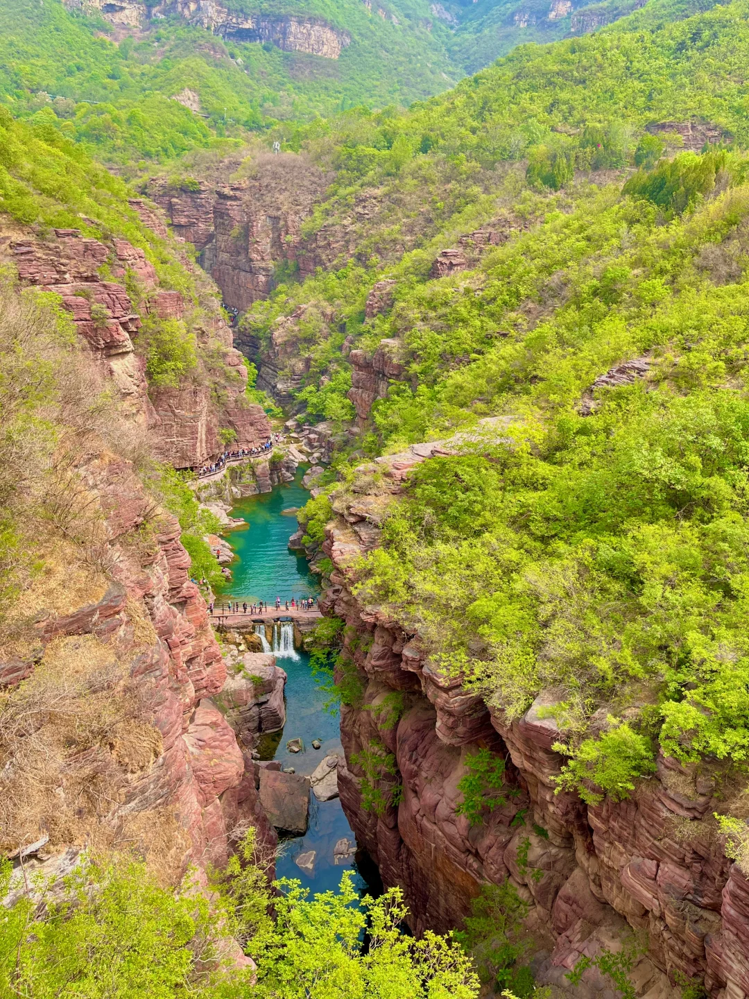 童话里的绿野仙踪丨云台山最全攻略🌲🌞