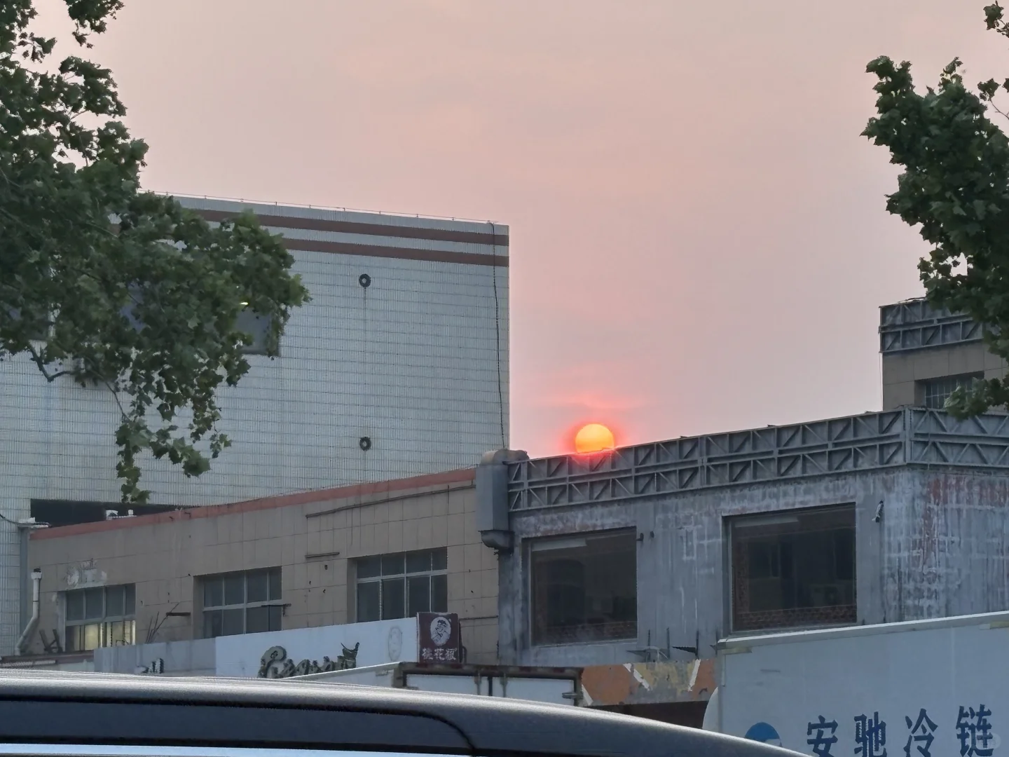 威海是一座浪漫的城市🌆💗