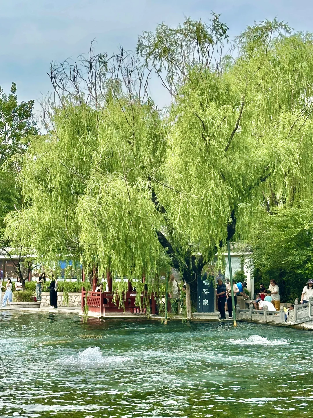 山东也有自己的江南水乡🛶这里真很有生命力