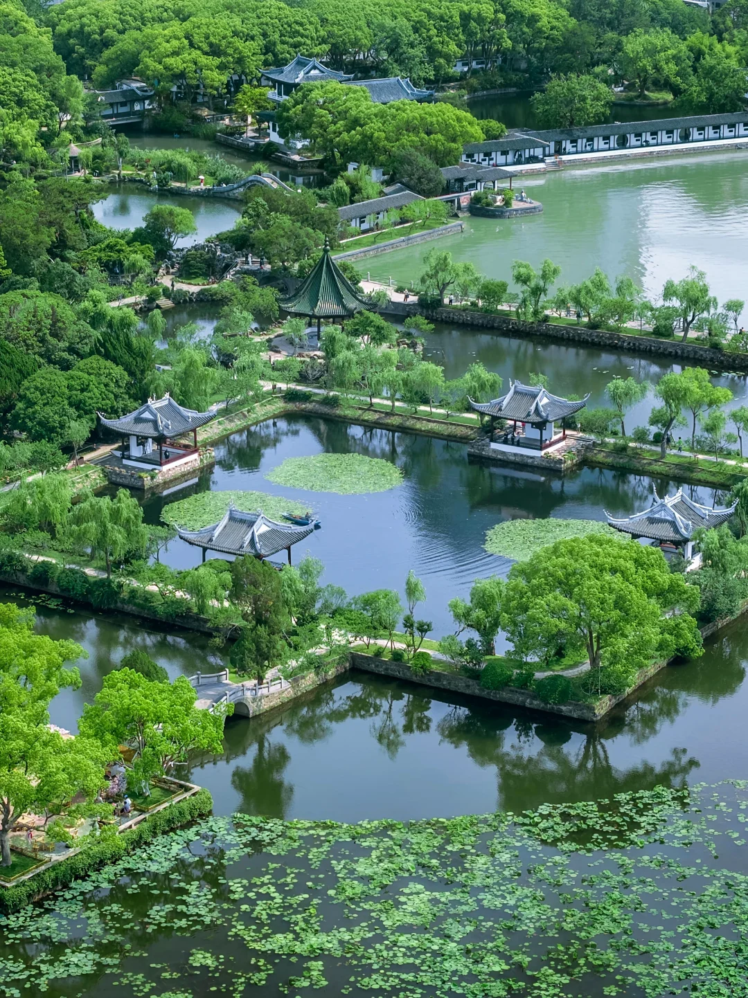 以为苏州很美了！直到我看到这个水上园林🏯