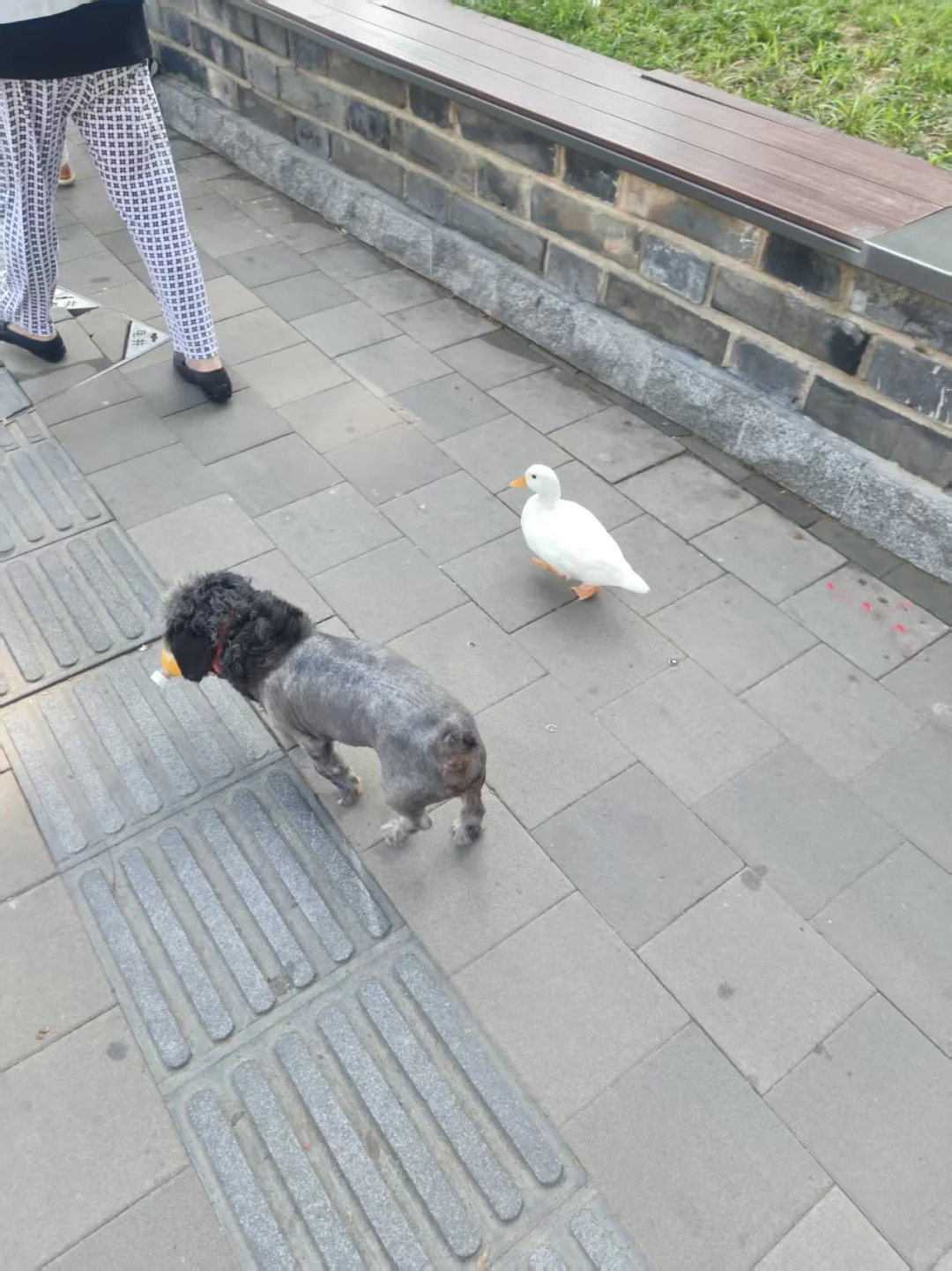 团建 特种兵旅游 武汉～