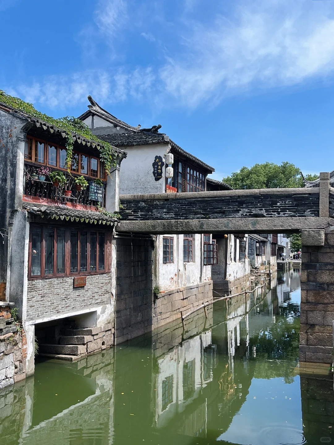 暑假来苏州想避开人群，来这个古镇就对啦～