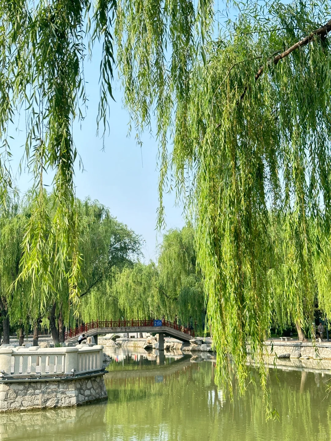 邯郸有点东西❗公园大树开瀑布