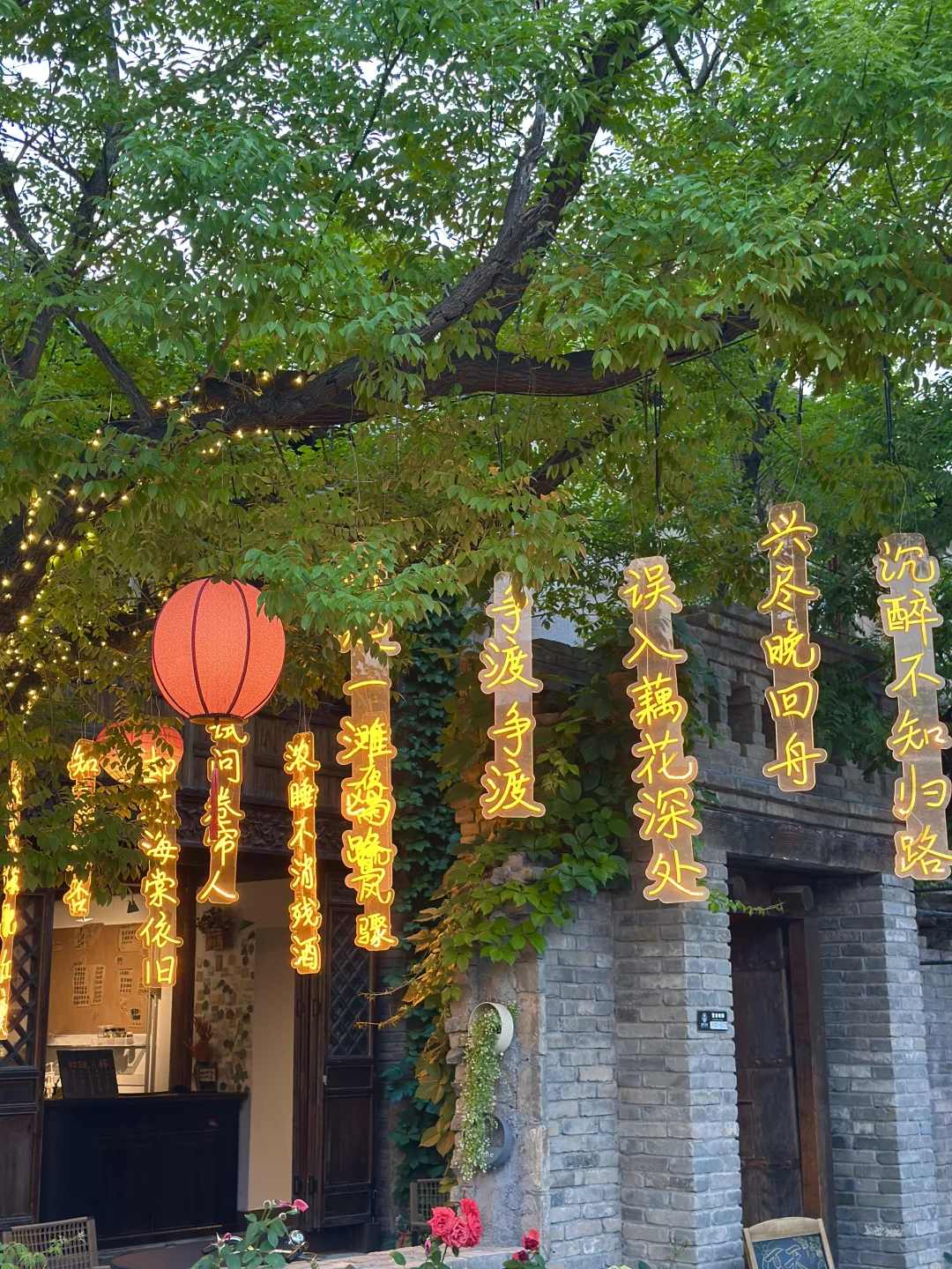 山东也有自己的江南水乡🛶这里真很有生命力