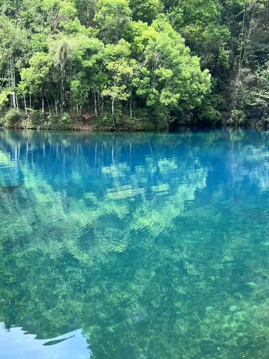 贵州旅游，拒绝人从众，强力推荐我们家的小团