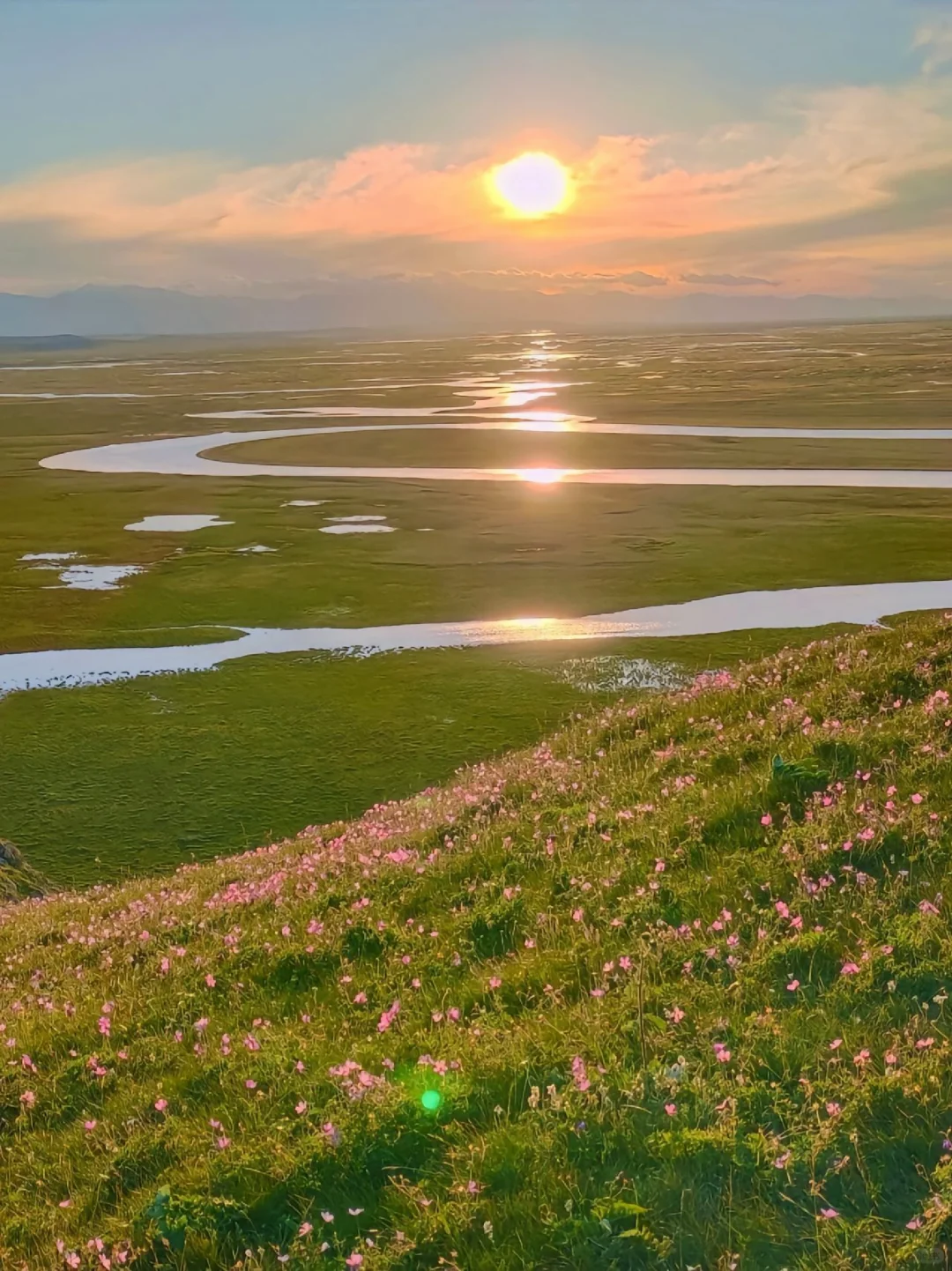 5-8月千万别去新疆伊犁！后劲真的大过失恋