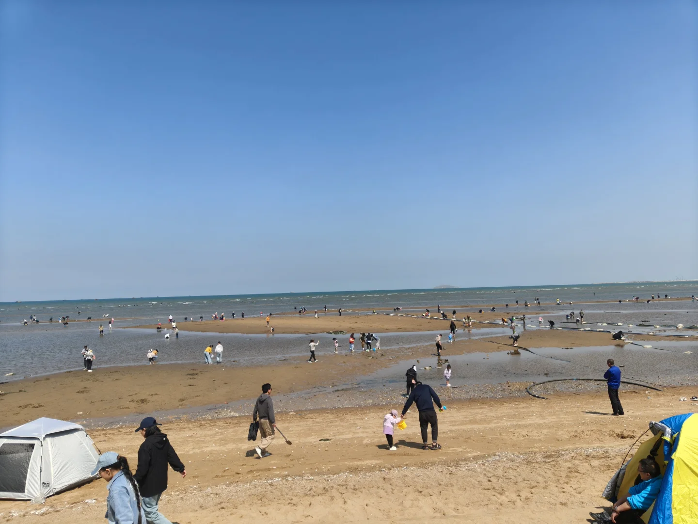 五一带🐶玩海莱州我太爱了（景点美食篇）