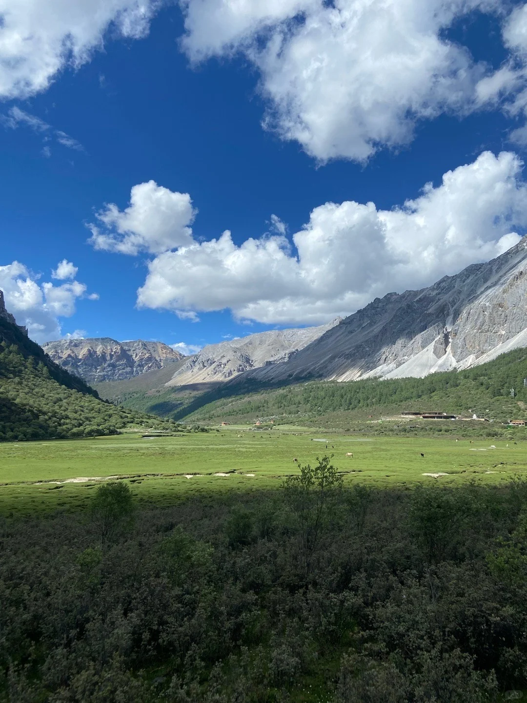 确定了❗️高考后毕业旅行📍来川西稻城亚丁