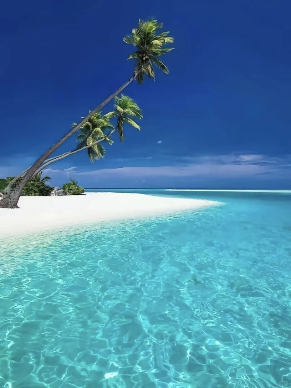 海瘾犯了…到底哪里有这种玻璃海啊！！