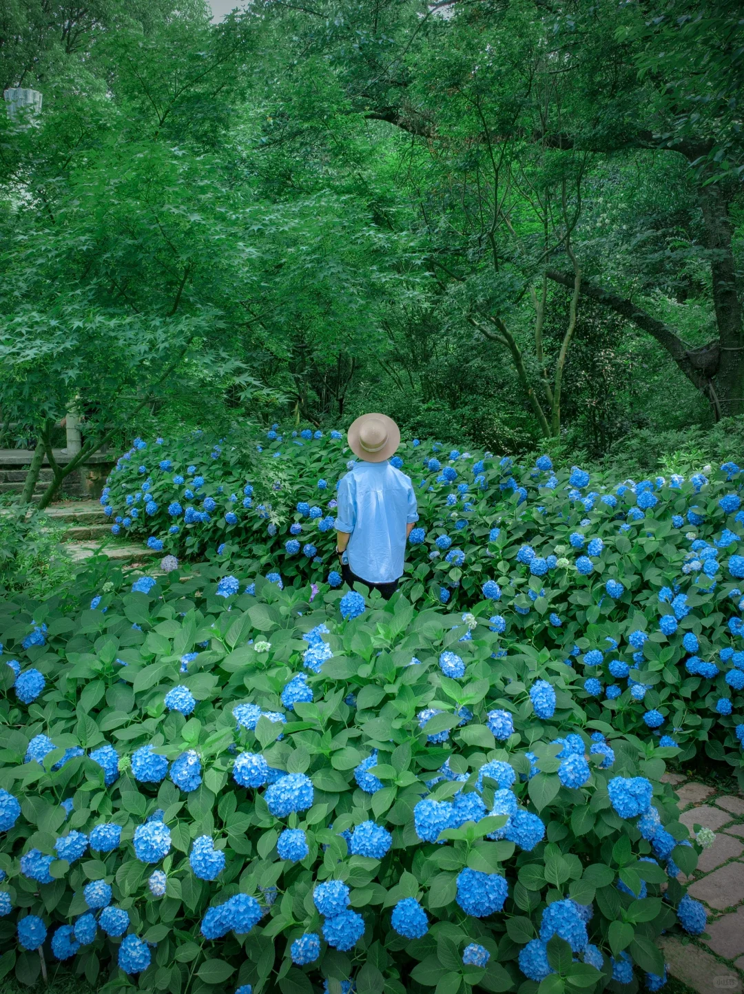 以为苏州很美了！直到我看到这个水上园林🏯