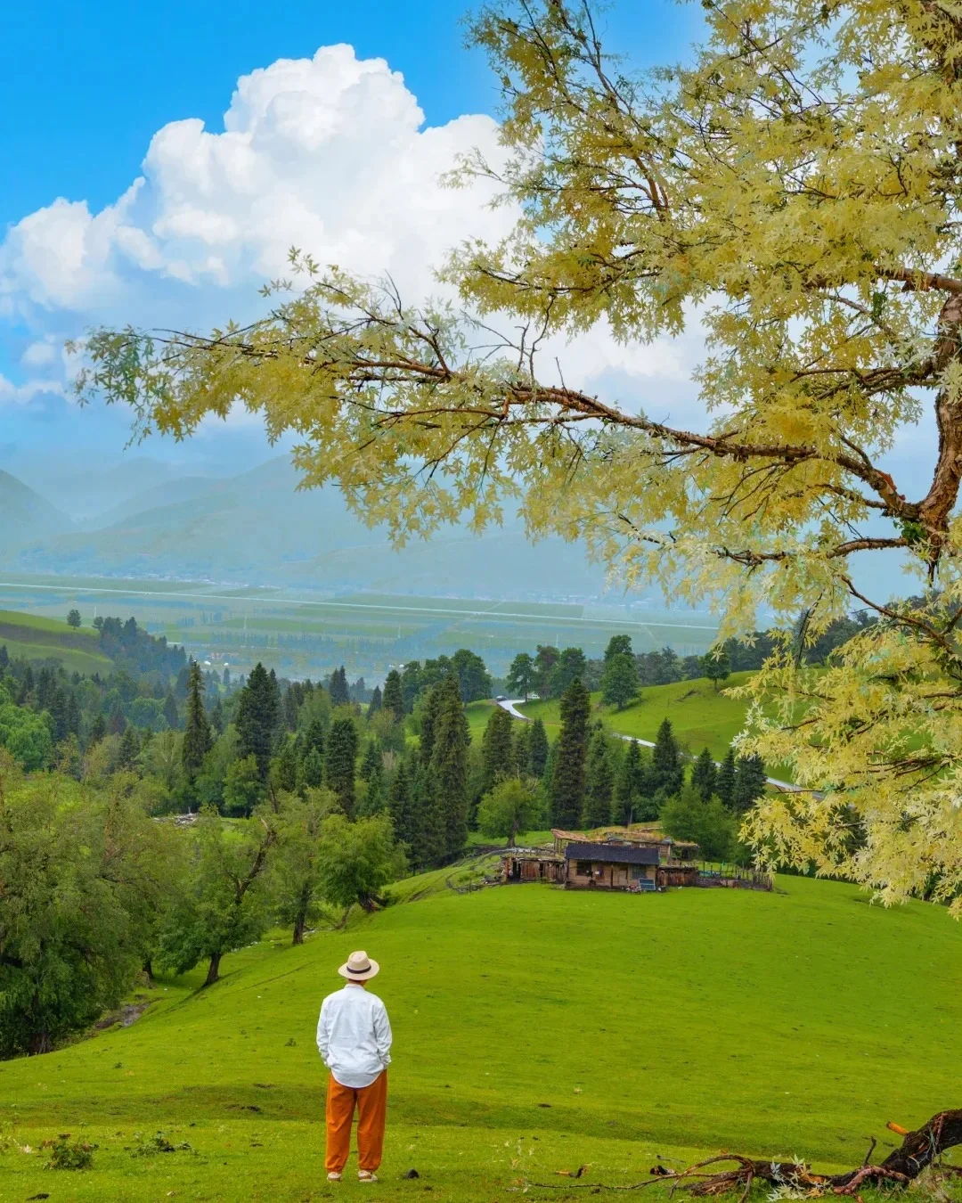 和男友新疆伊犁玩了8天，消费观崩塌了🙀