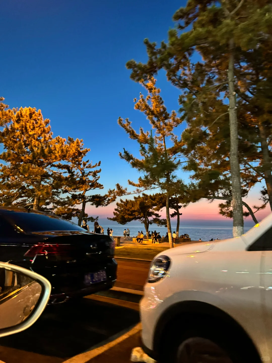 傍晚的威海！！就是一个巨大的lalaland。。。