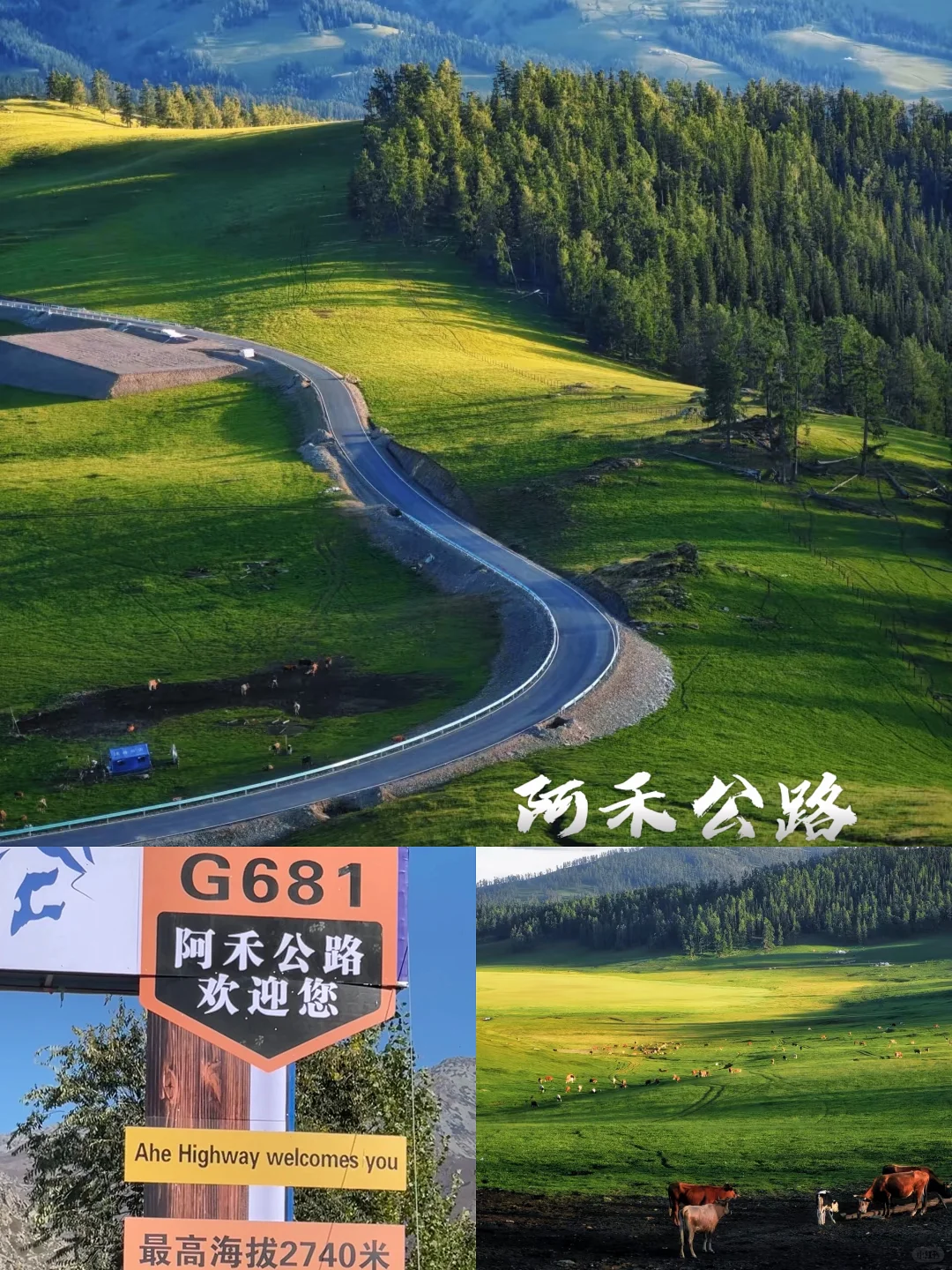 6-8月新疆必游景点 | 梦中的自由地