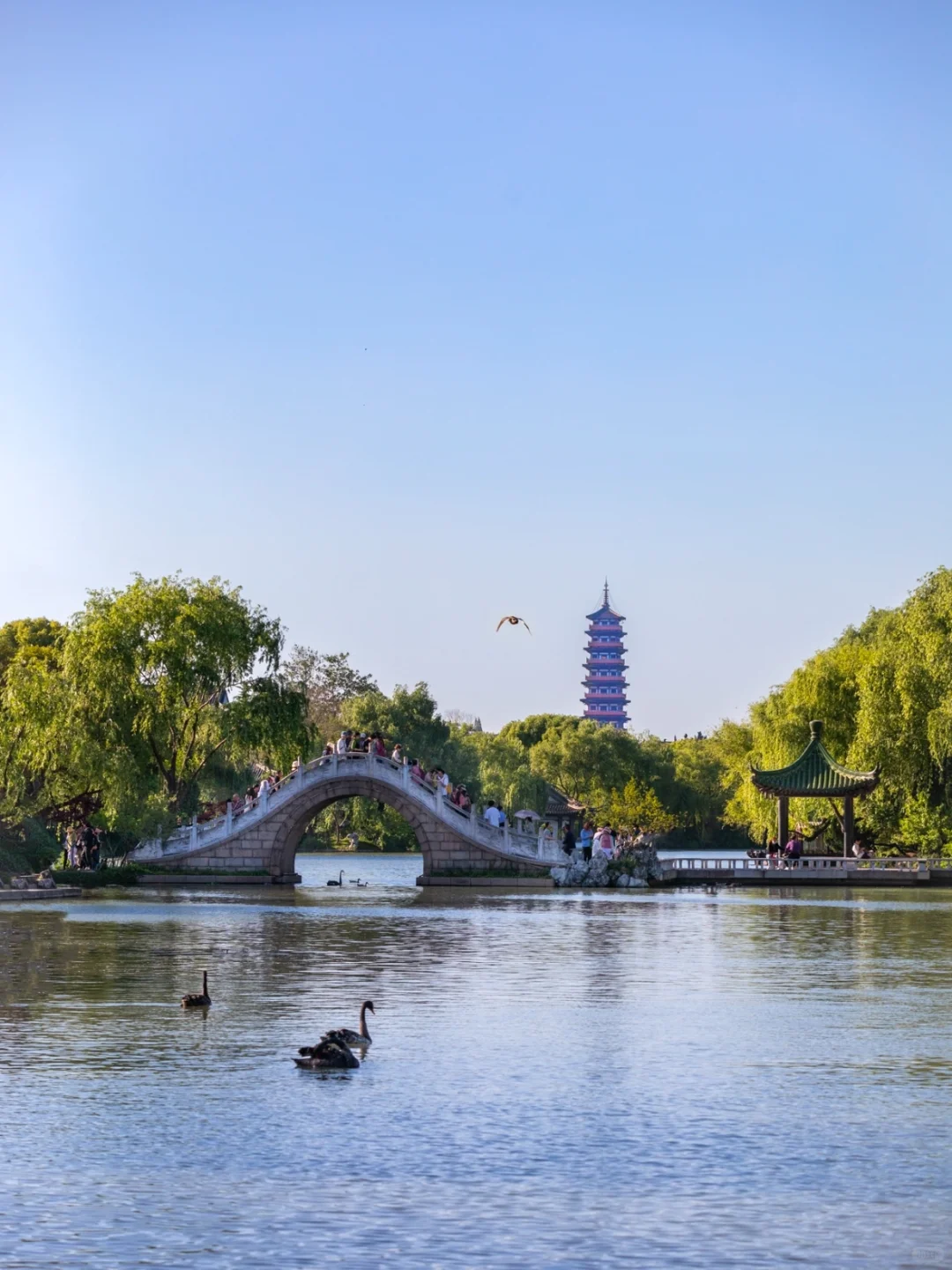 超美的江南水乡！🌸烟花三月下扬州