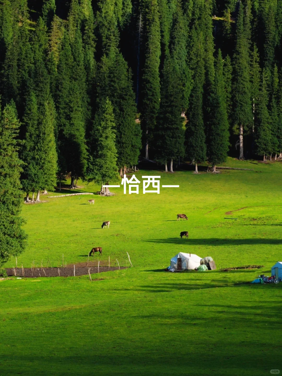 🌟【6-9月来新疆伊犁必去景点❗】