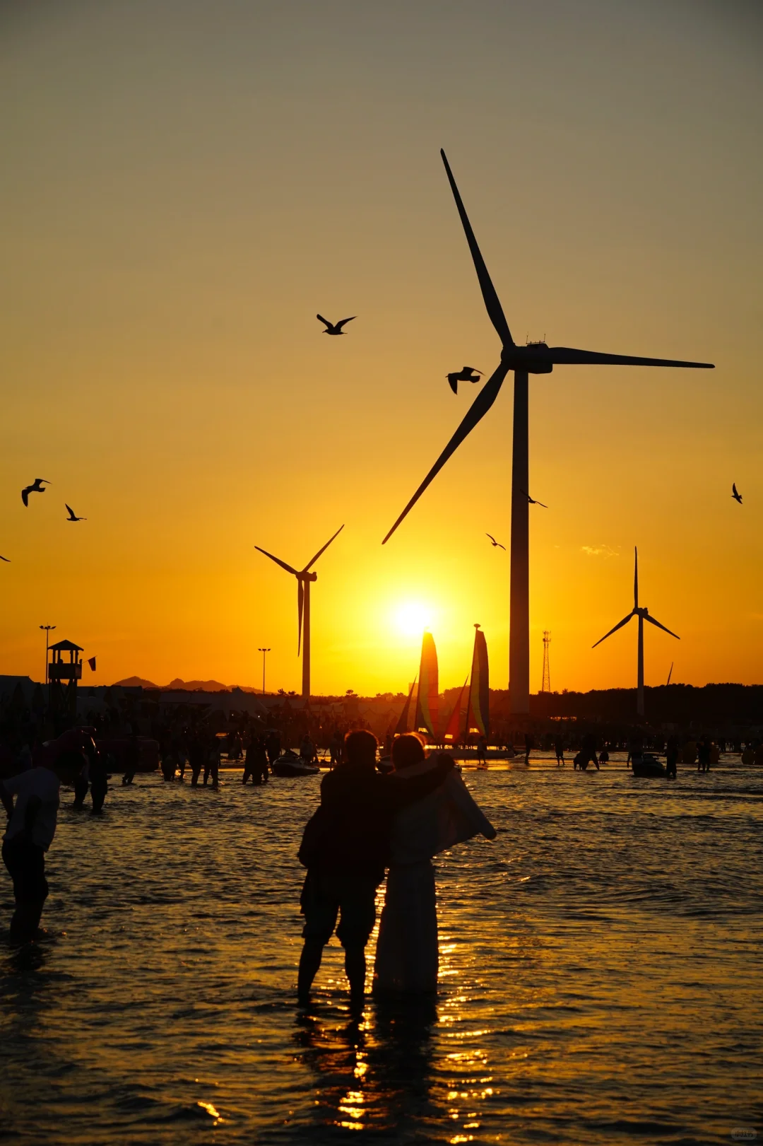 ‼️你永远可以相信隐藏在威海的浪漫❤️