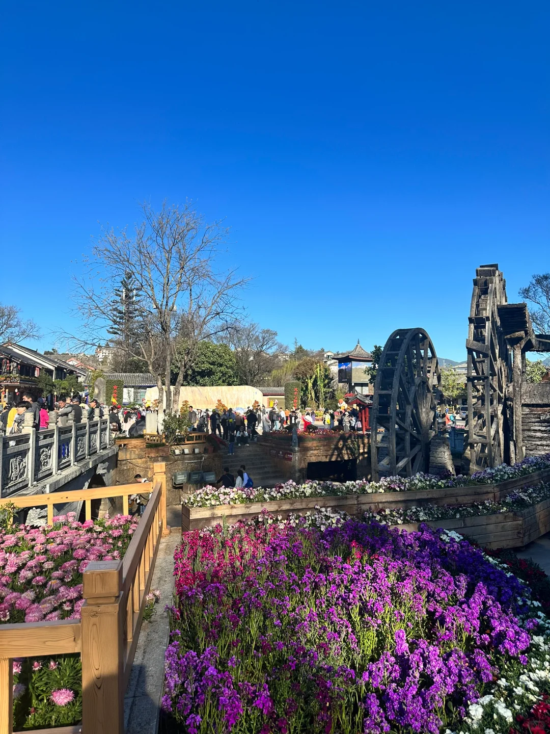 云南丽江 大理去了，那边拍照很吃天气‼️