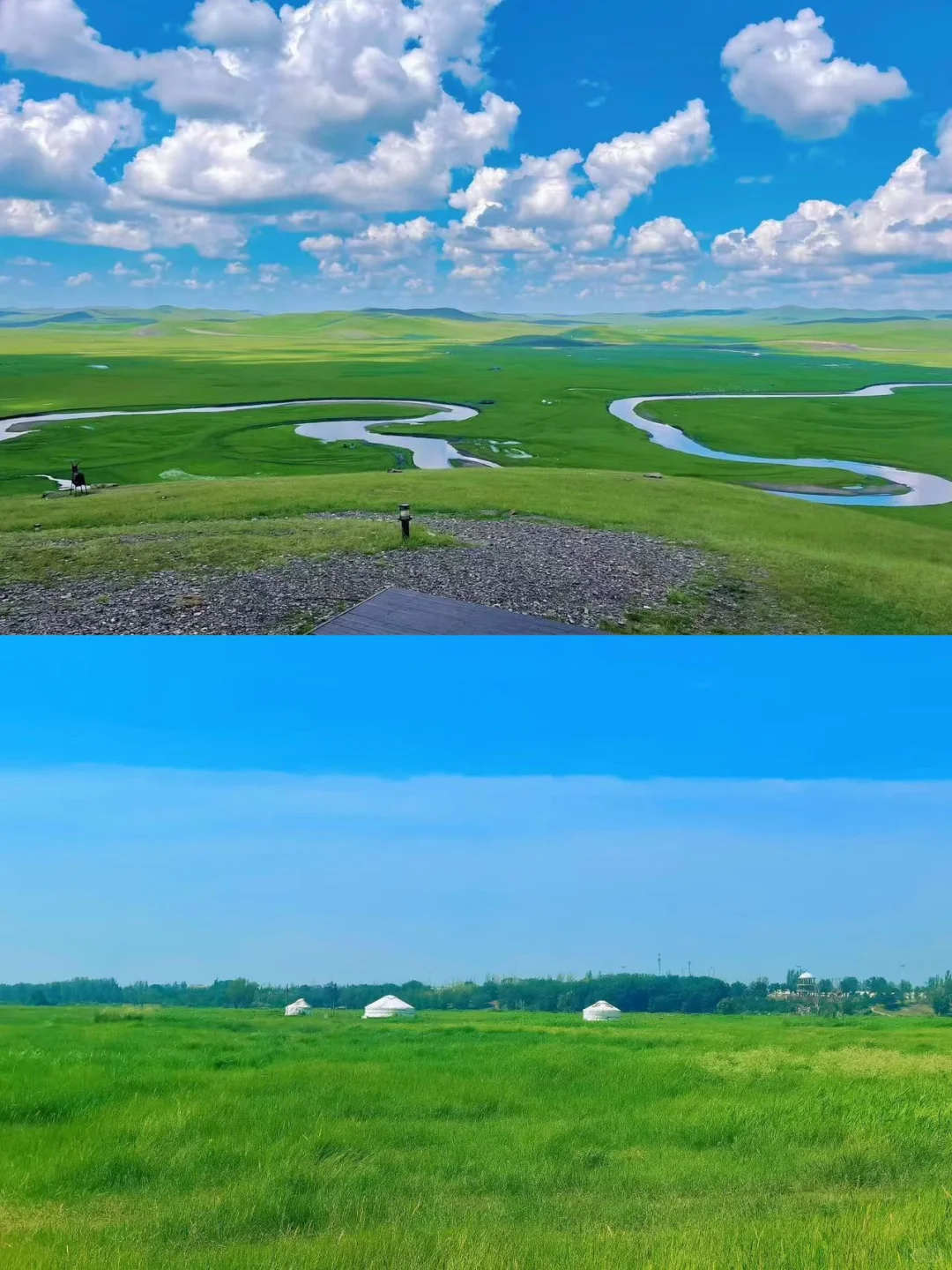 人生建议！一定要在夏天来一次呼伦贝尔，美哭