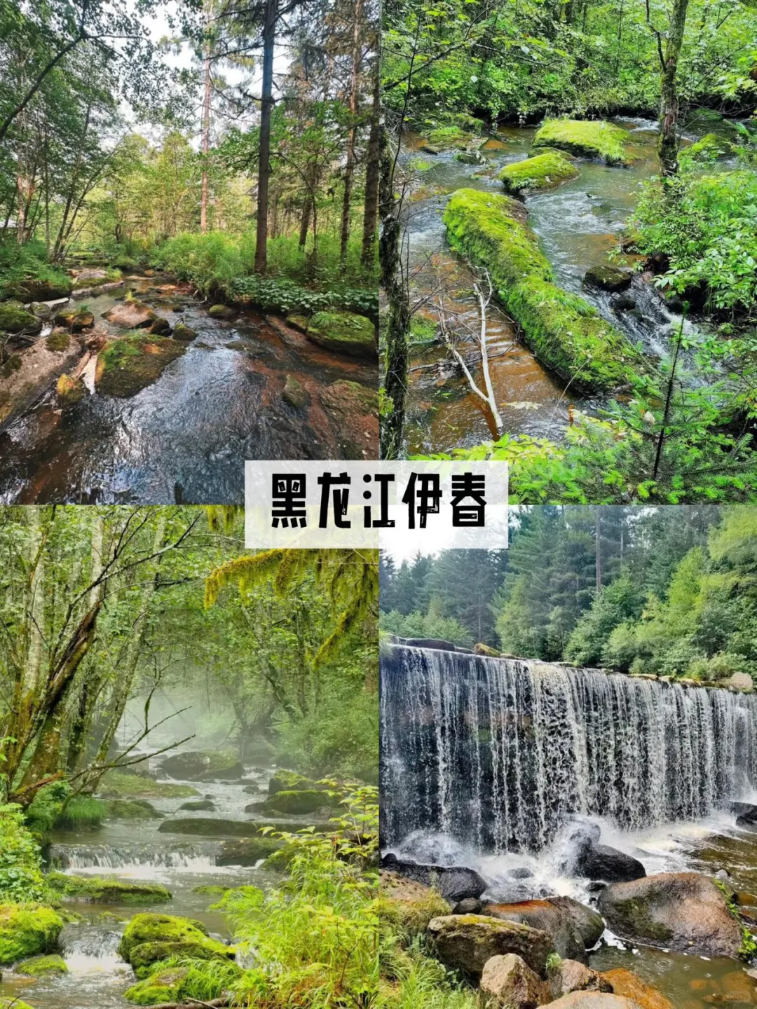 7️⃣月避暑天花板！国内9️⃣个20℃神仙地