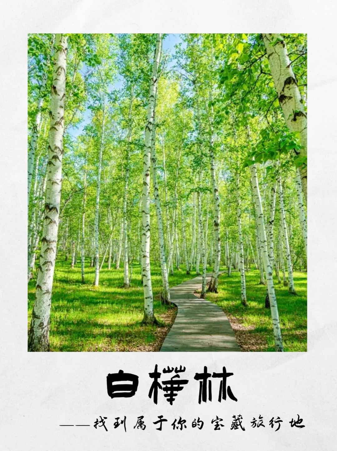 呼伦贝尔超全景点攻略｜必去的绝美之地