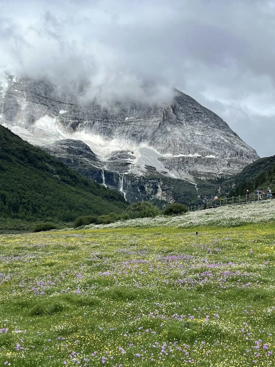确定了❗️高考后毕业旅行📍来川西稻城亚丁