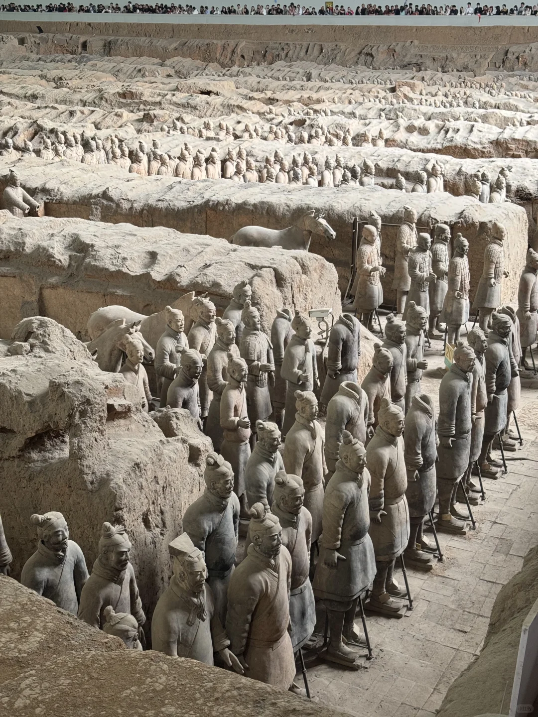 带着我的老外爸爸在中国旅游啦🇨🇳