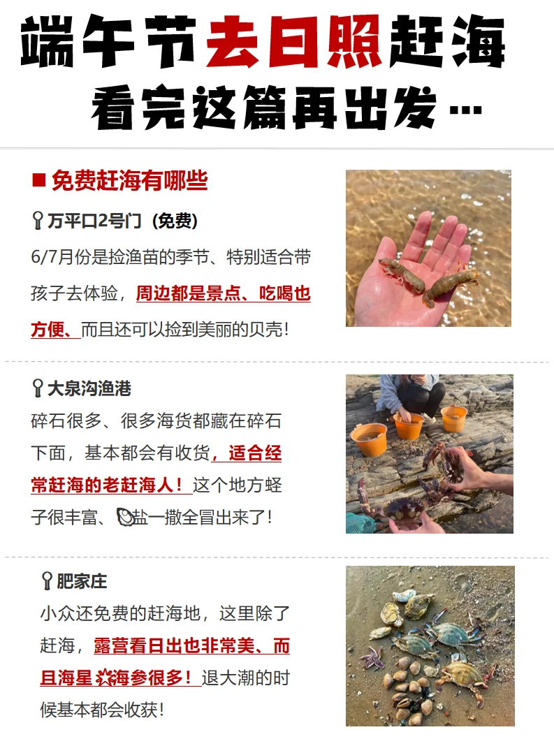 Live实况 端午节去日照赶海看完这篇再出发